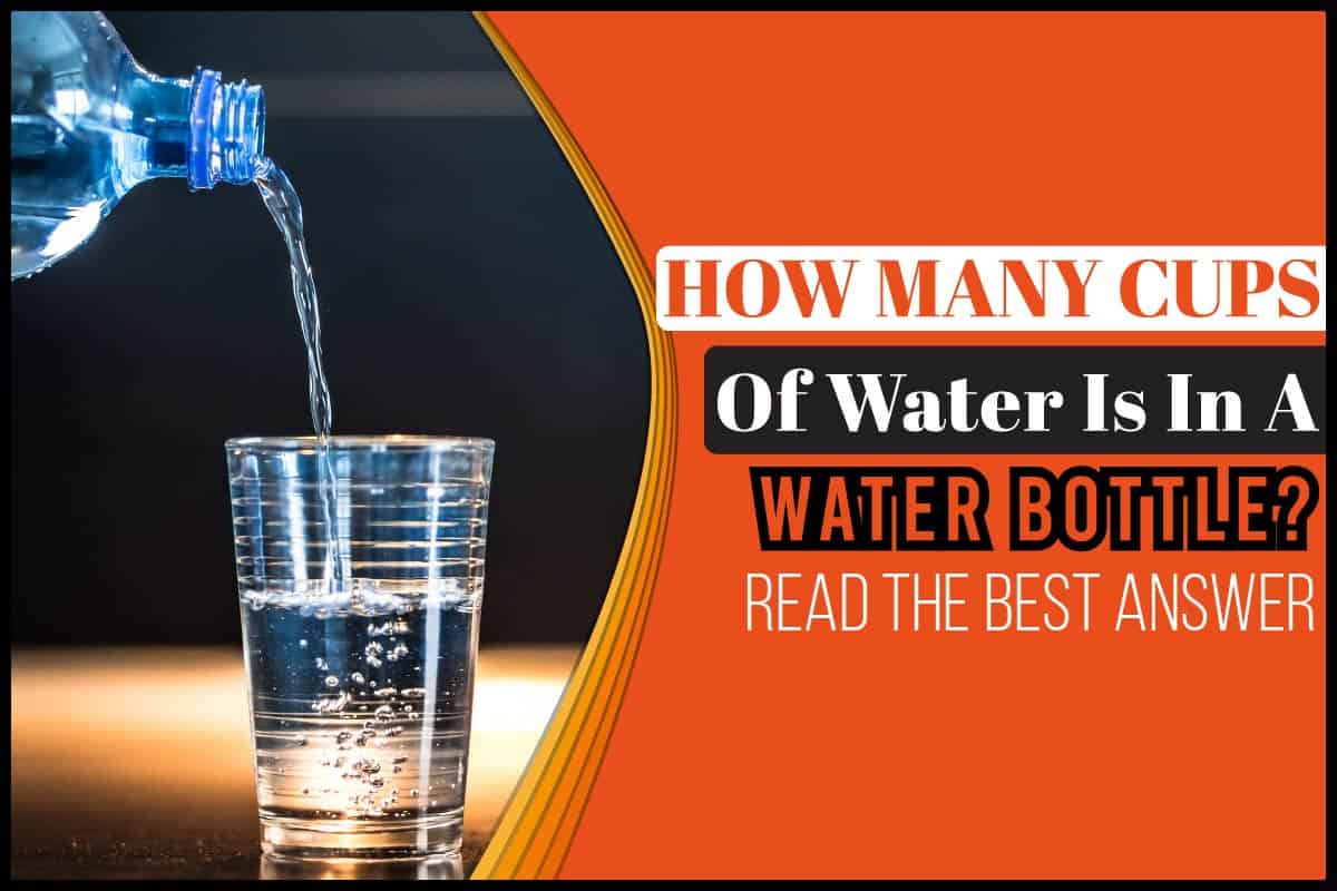 How Much Is 1 Cup Of Water