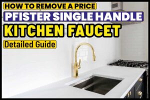 How to remove a price Pfister single handle kitchen faucet