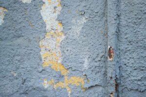 6 Steps In Mold Remediation Process