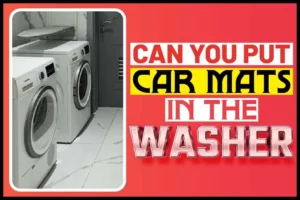 Can You Put Car Mats In The Washer