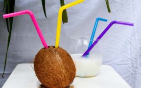 Does Coconut Milk Need To Be Refrigerated