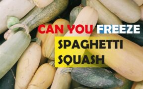 can you freeze spaghetti squash