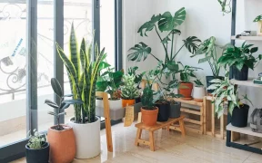 How To Achieve A Nature Aesthetic In Your Home