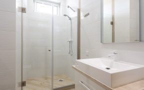 Shower Door Ideas