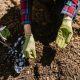 Exploring Mulch